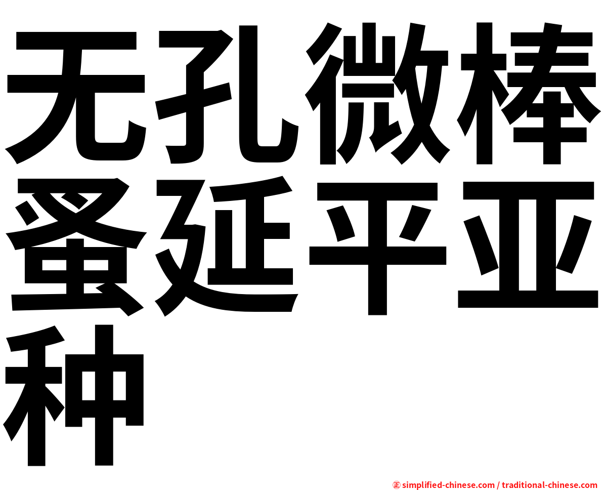无孔微棒蚤延平亚种