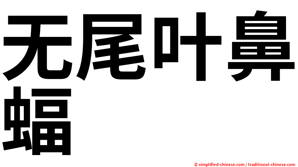 无尾叶鼻蝠