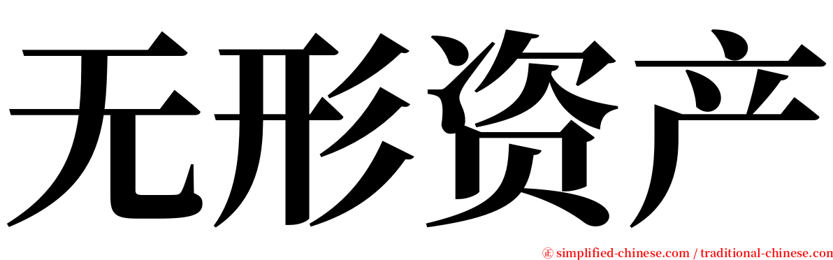 无形资产 serif font