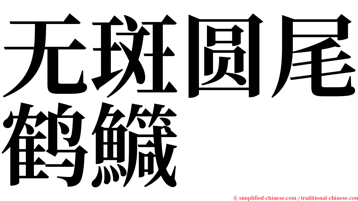 无斑圆尾鹤鱵 serif font