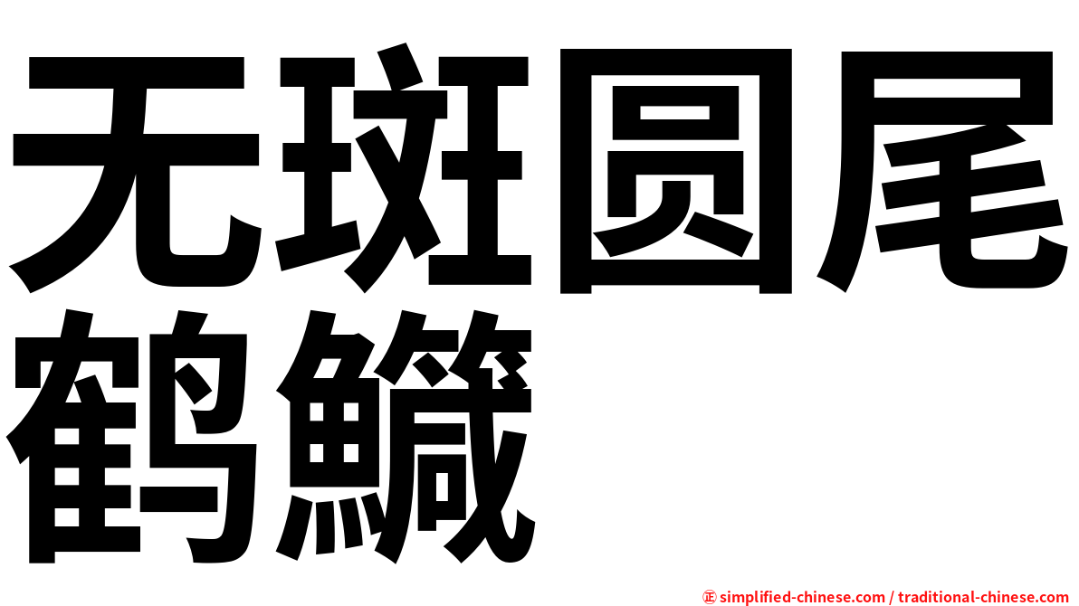 无斑圆尾鹤鱵