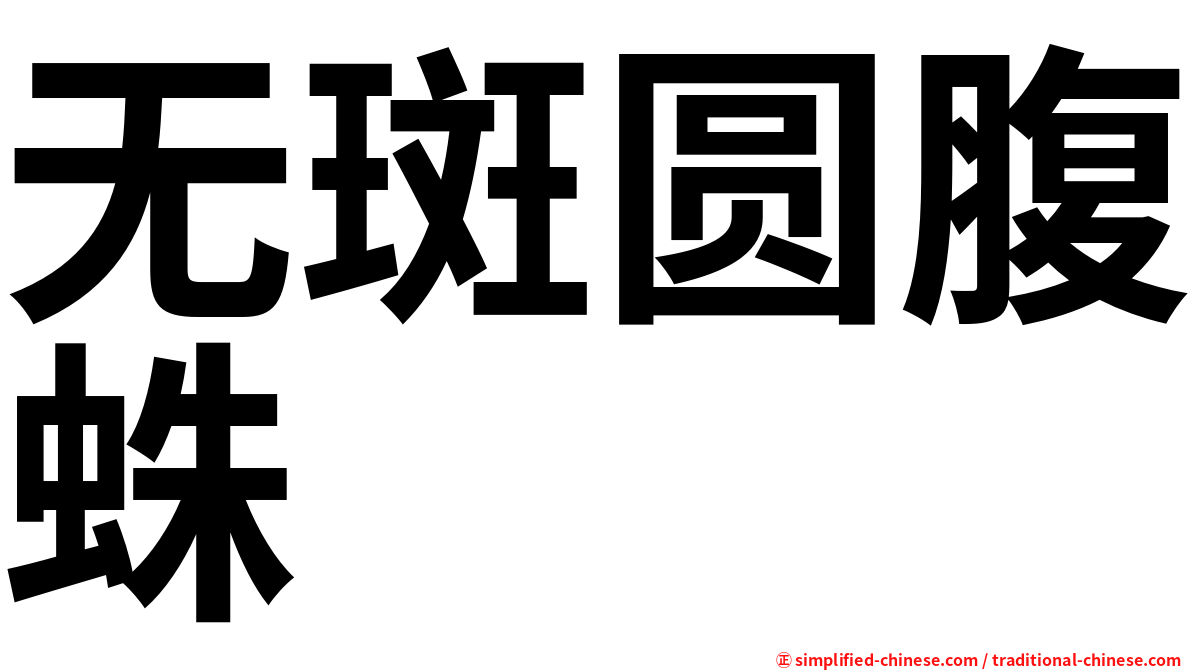 无斑圆腹蛛