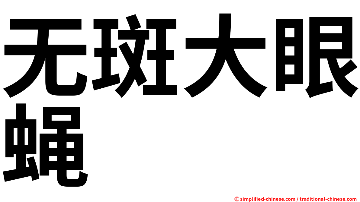 无斑大眼蝇