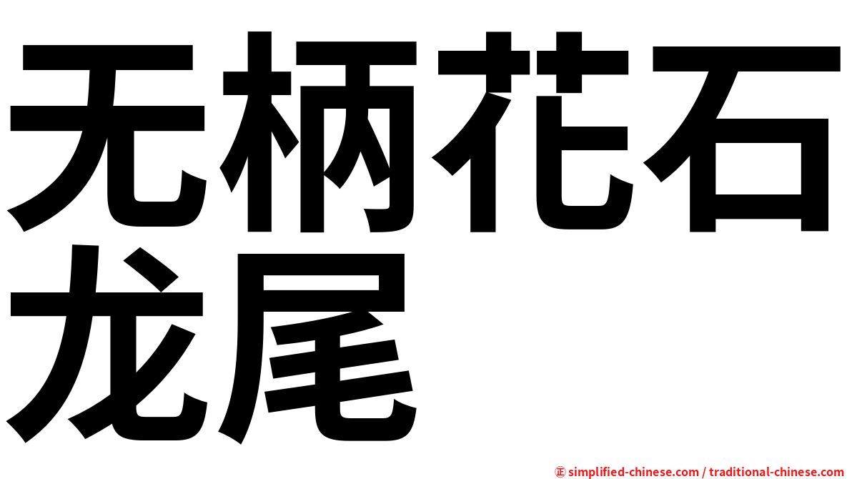 无柄花石龙尾