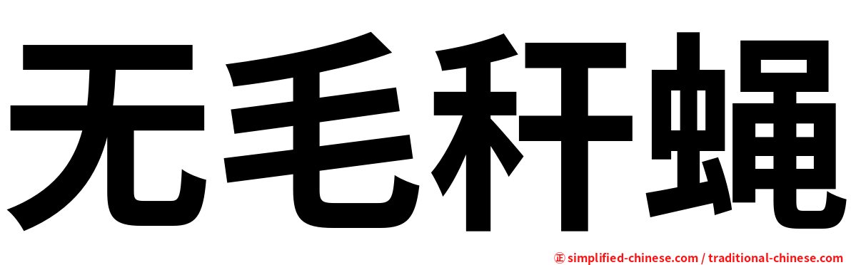 无毛秆蝇