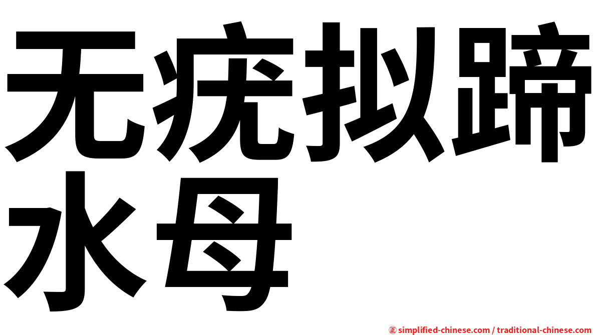无疣拟蹄水母