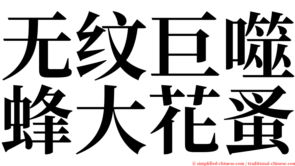 无纹巨噬蜂大花蚤 serif font