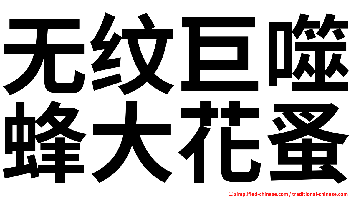 无纹巨噬蜂大花蚤