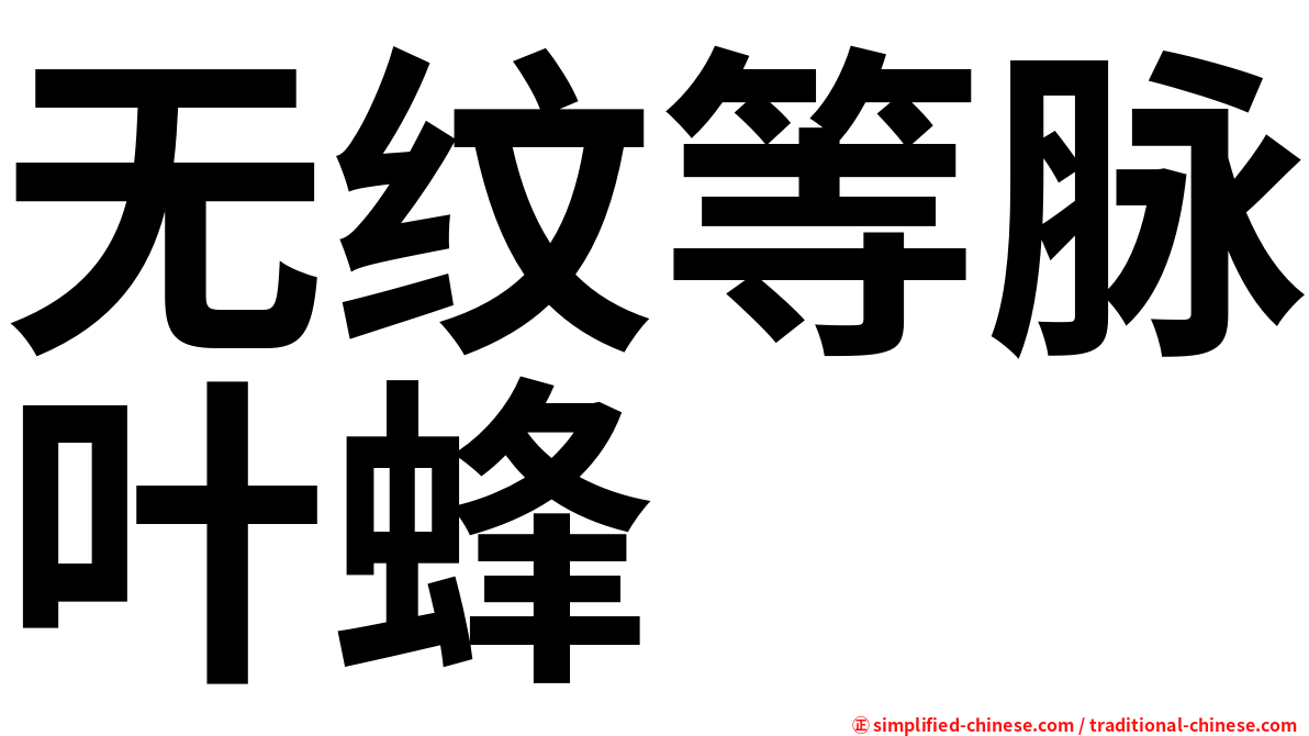 无纹等脉叶蜂