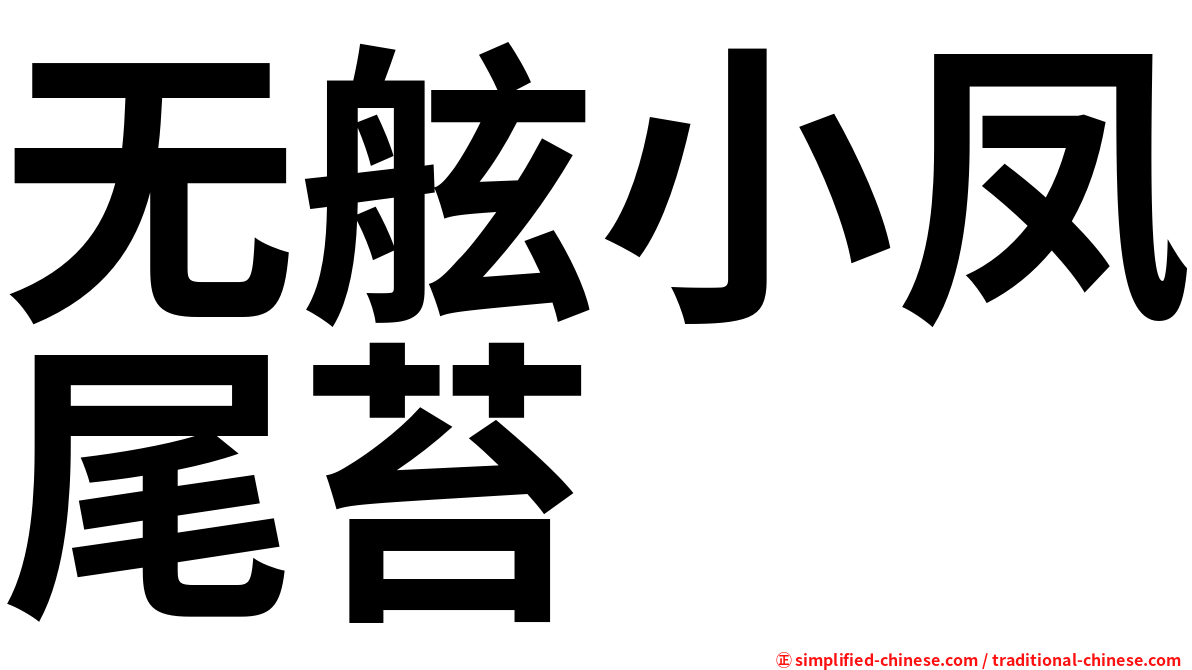 无舷小凤尾苔