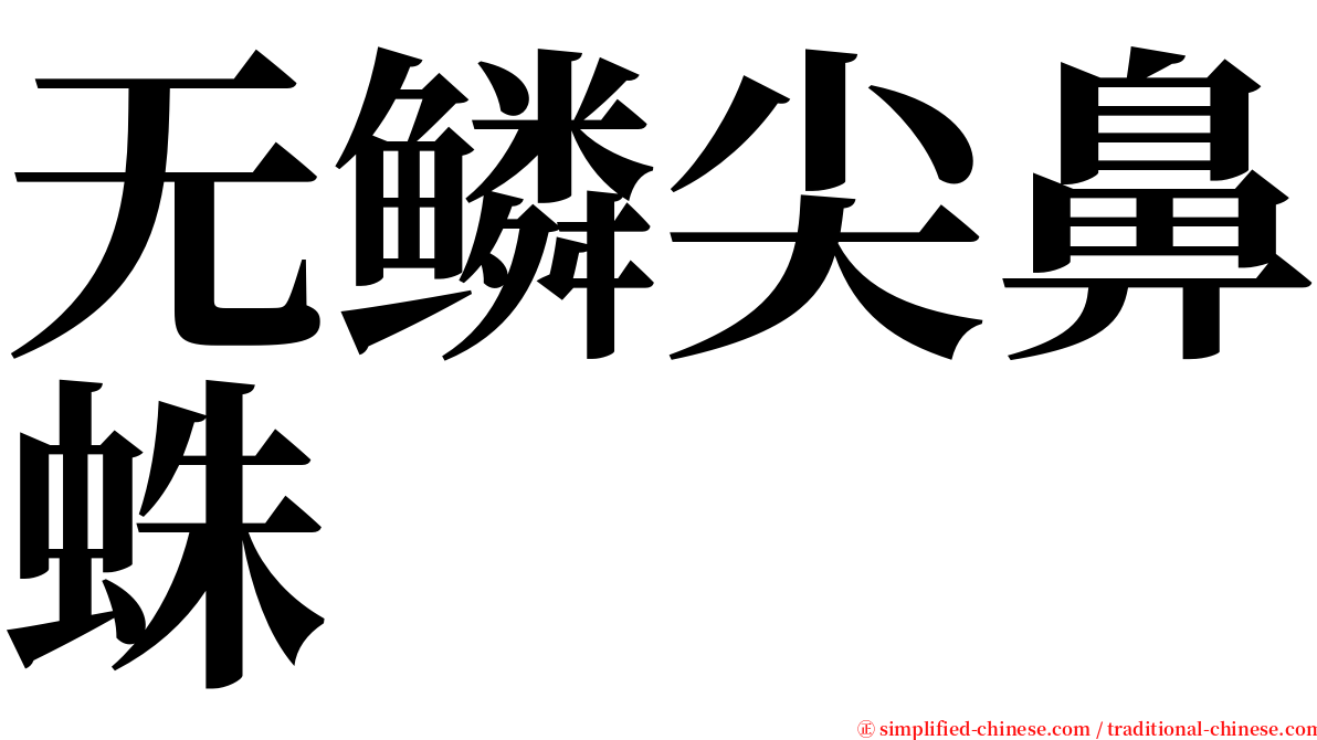 无鳞尖鼻蛛 serif font