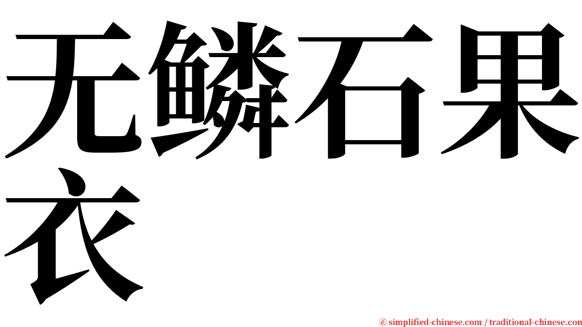 无鳞石果衣 serif font