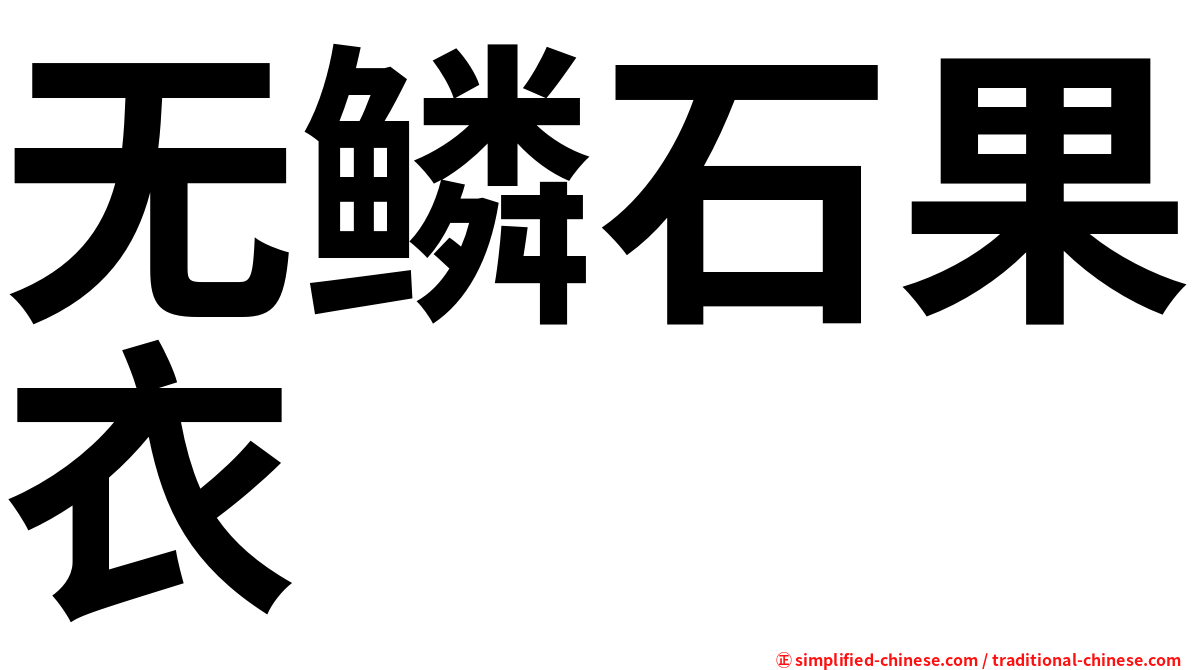 无鳞石果衣