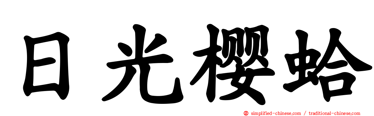 日光樱蛤