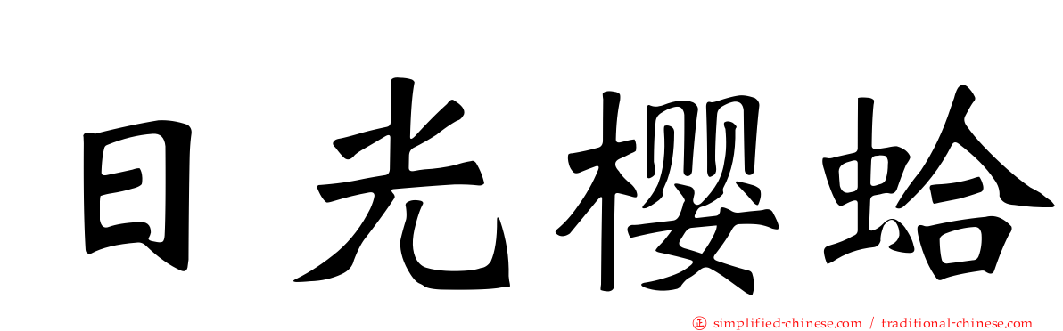 日光樱蛤
