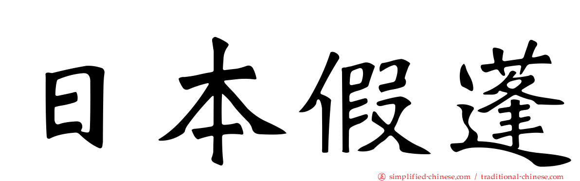 日本假蓬