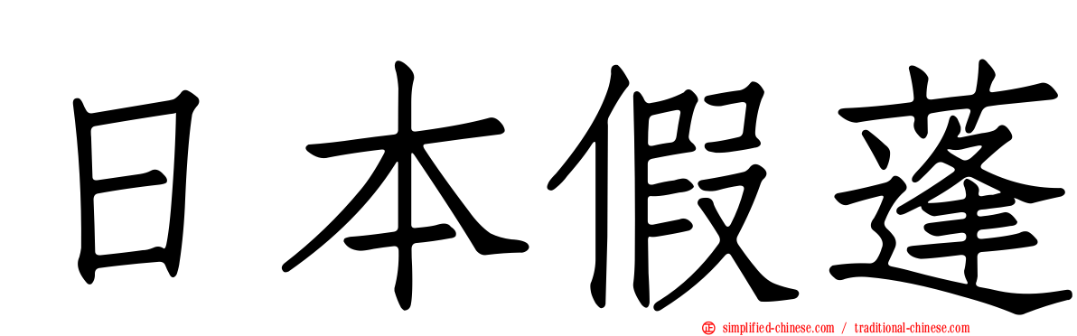 日本假蓬