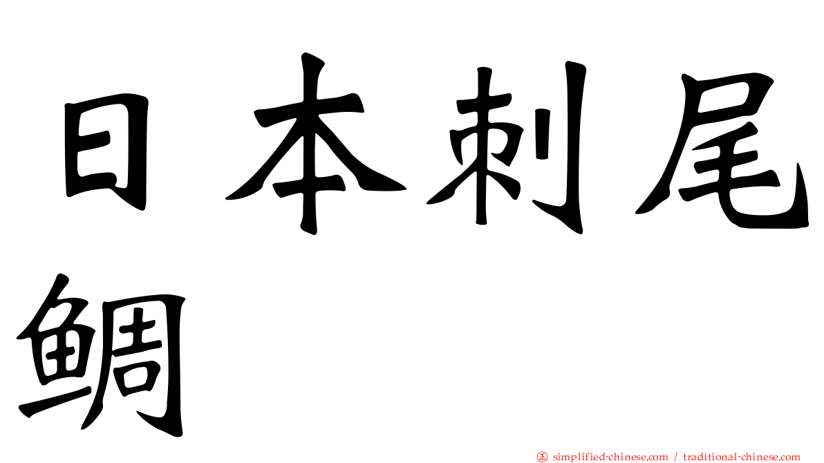 日本刺尾鲷