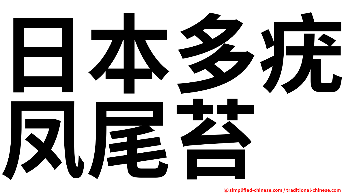 日本多疣凤尾苔