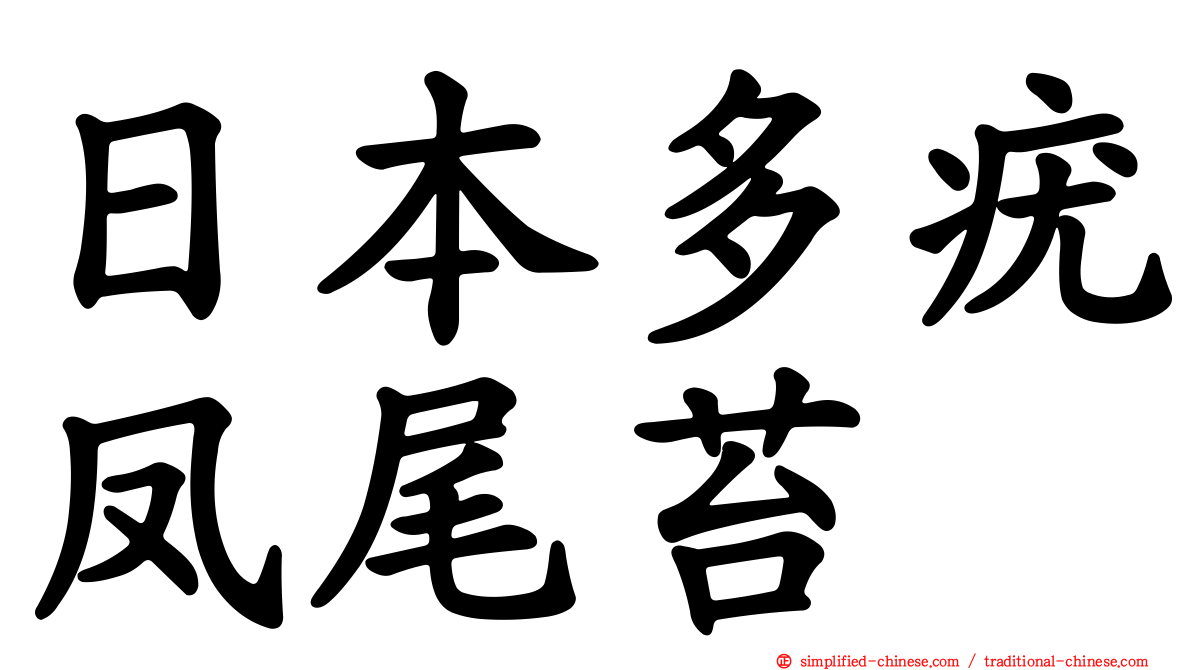 日本多疣凤尾苔