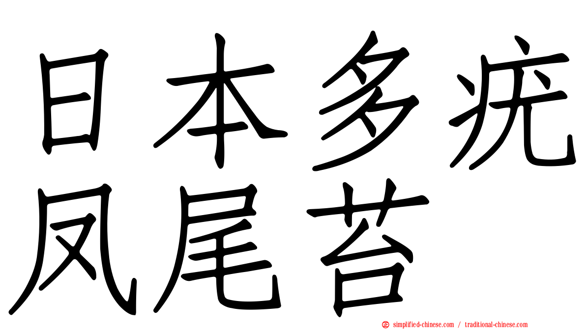 日本多疣凤尾苔