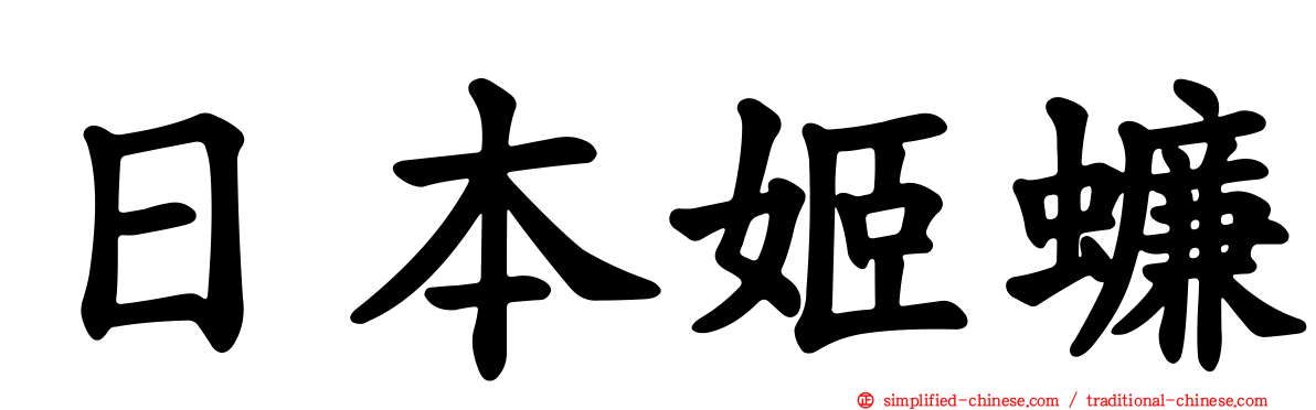 日本姬蠊