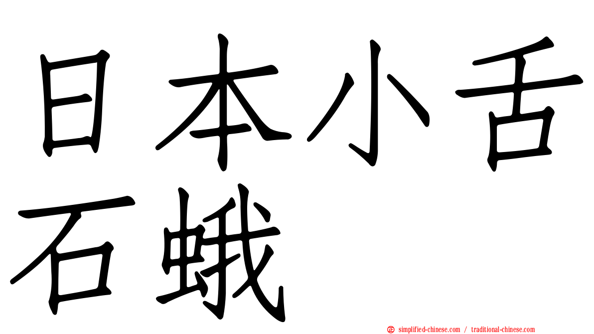 日本小舌石蛾