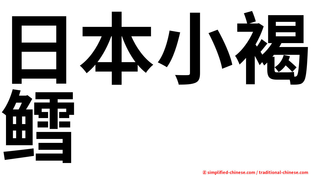 日本小褐鳕