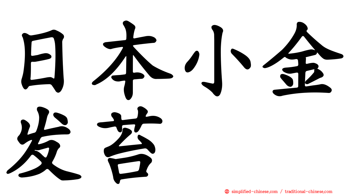 日本小金发苔
