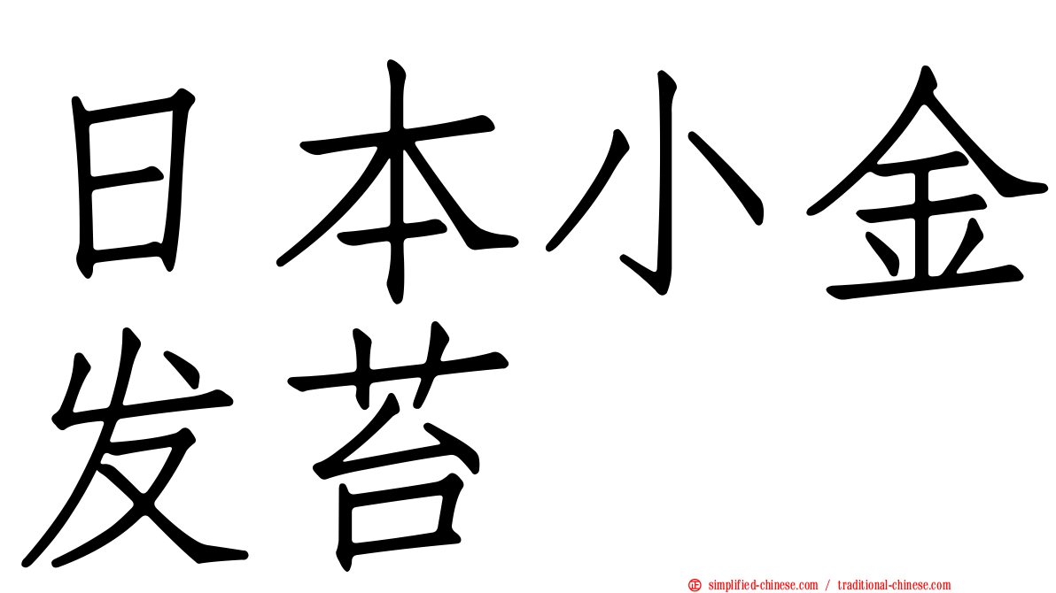 日本小金发苔