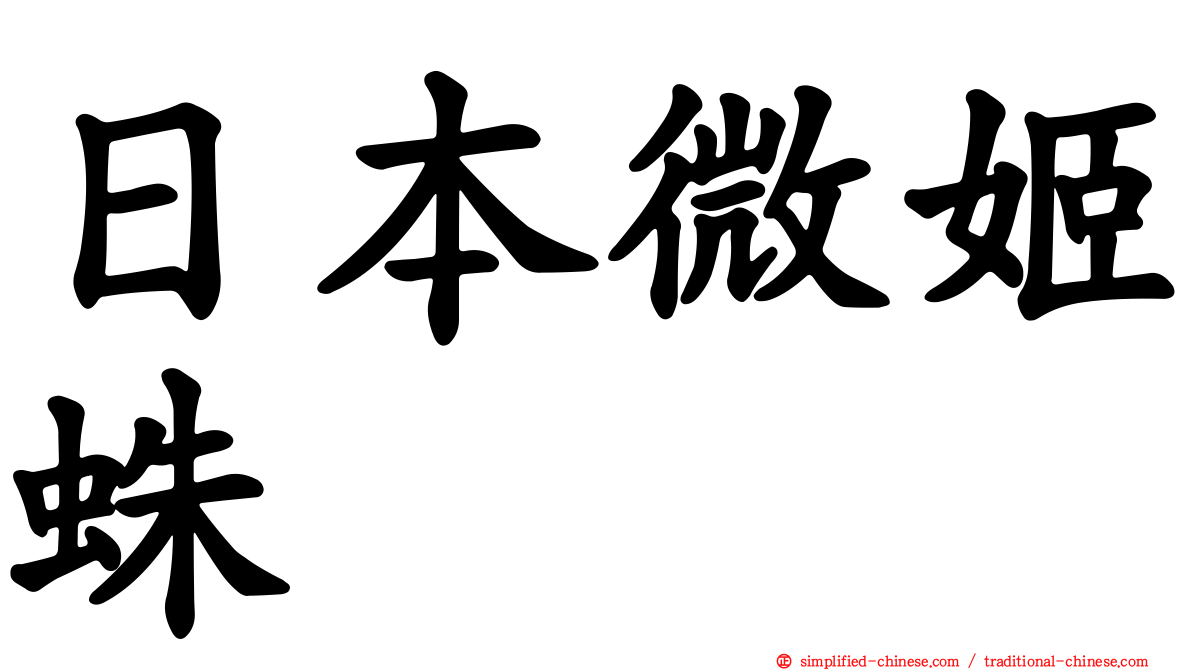 日本微姬蛛