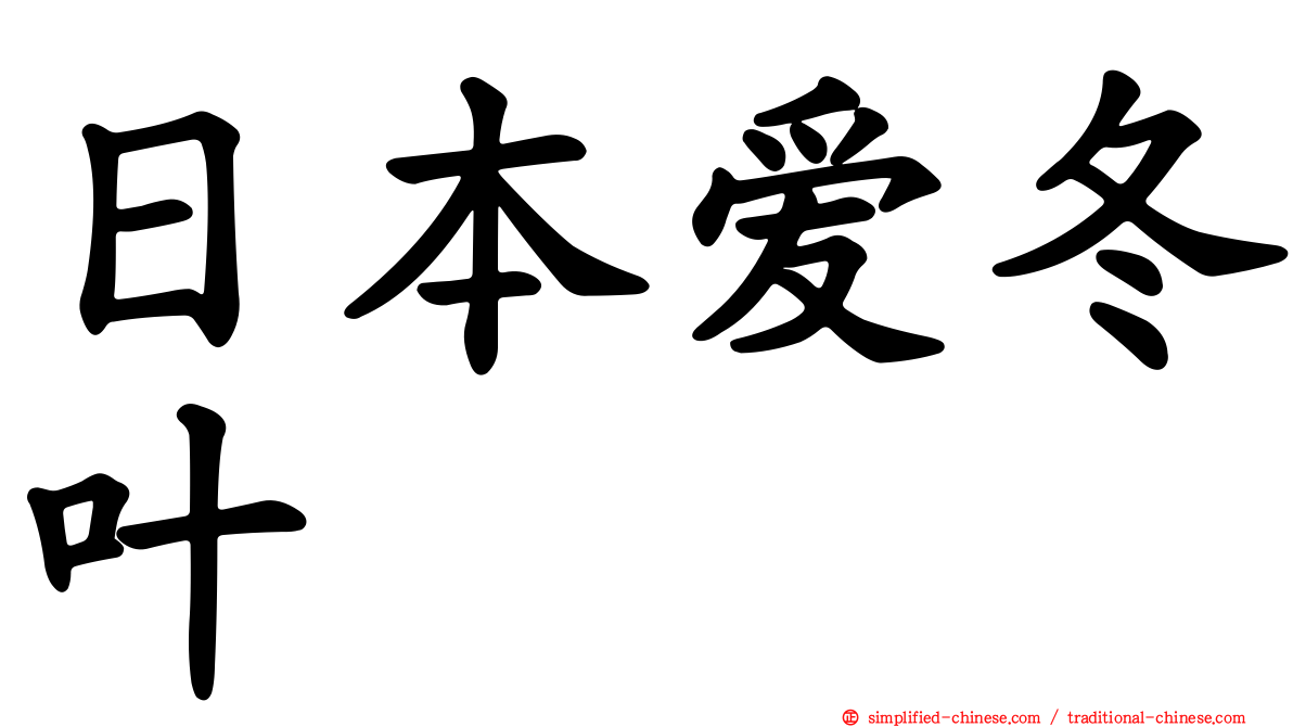日本爱冬叶