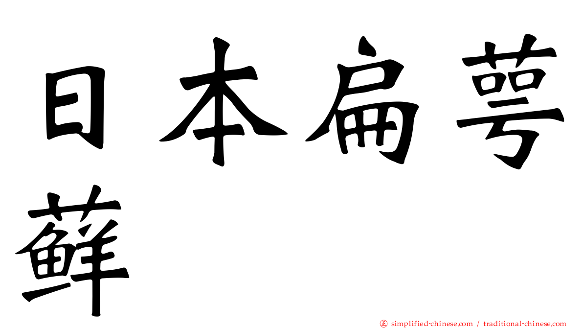 日本扁萼藓