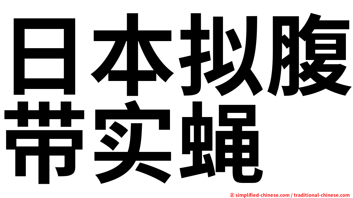 日本拟腹带实蝇