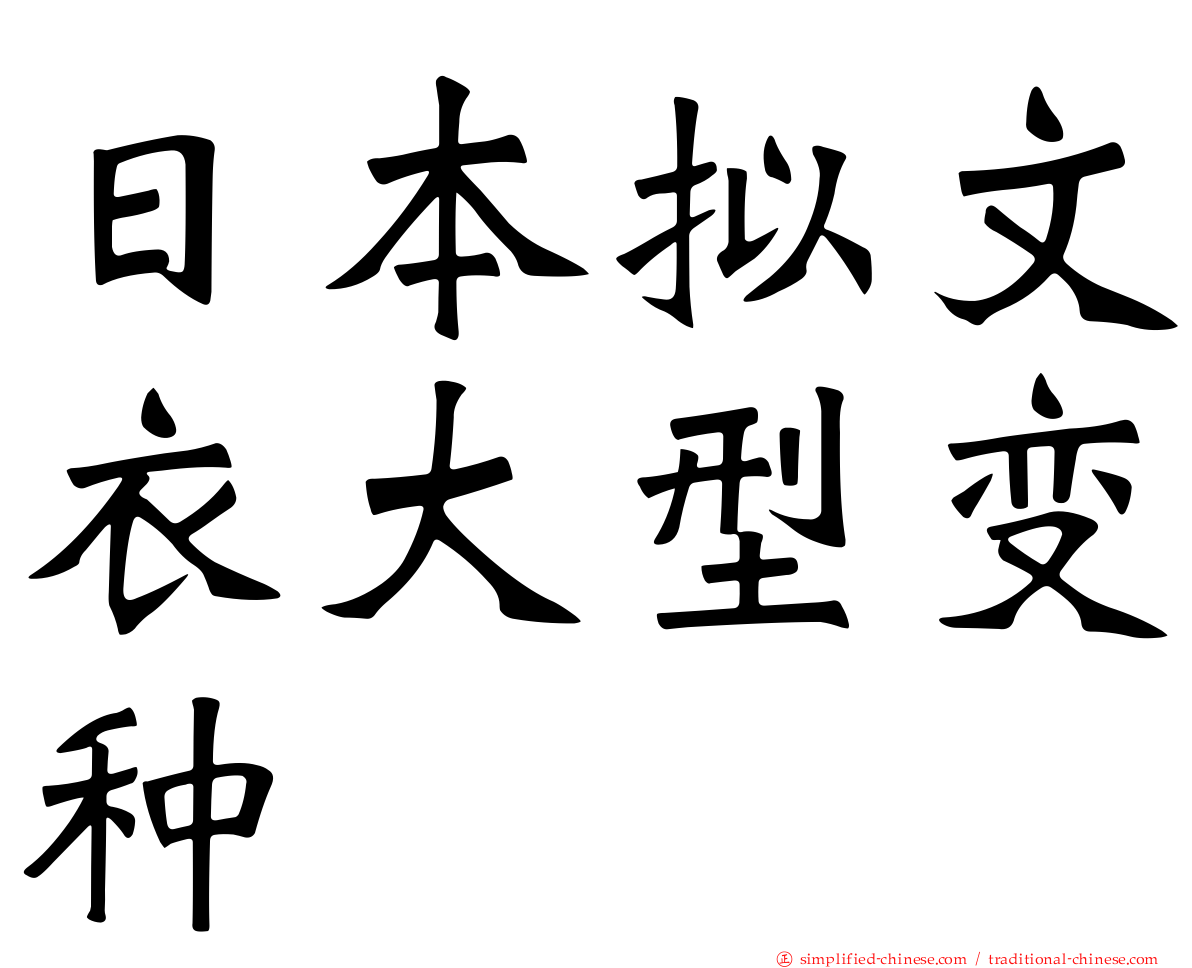 日本拟文衣大型变种