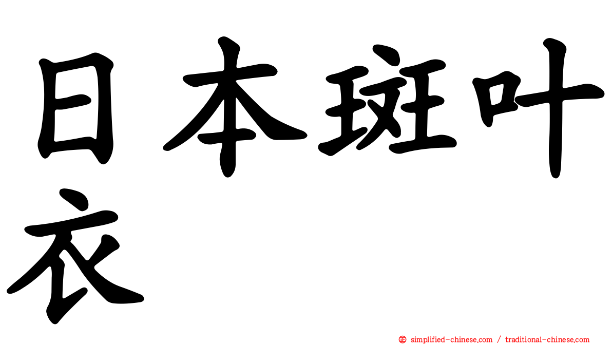 日本斑叶衣