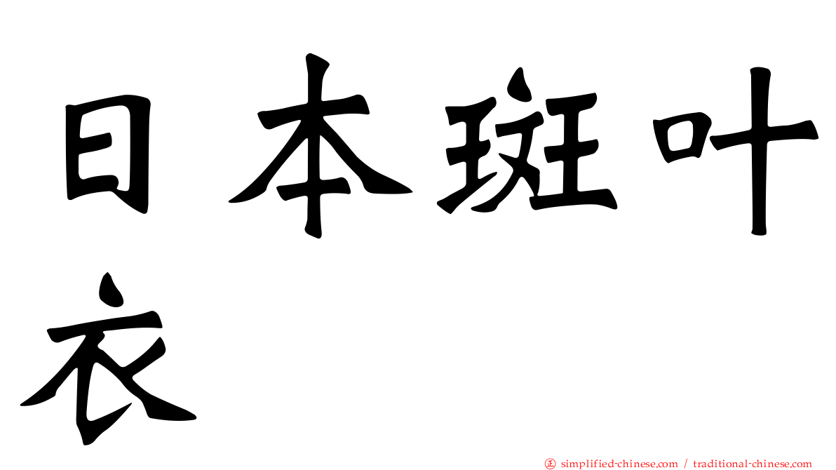 日本斑叶衣