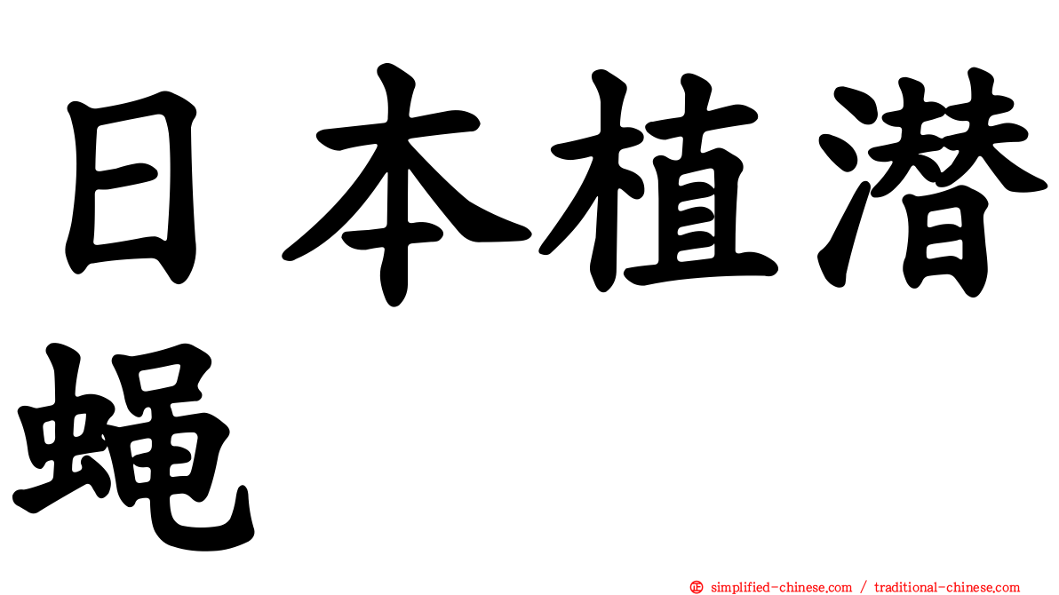 日本植潜蝇