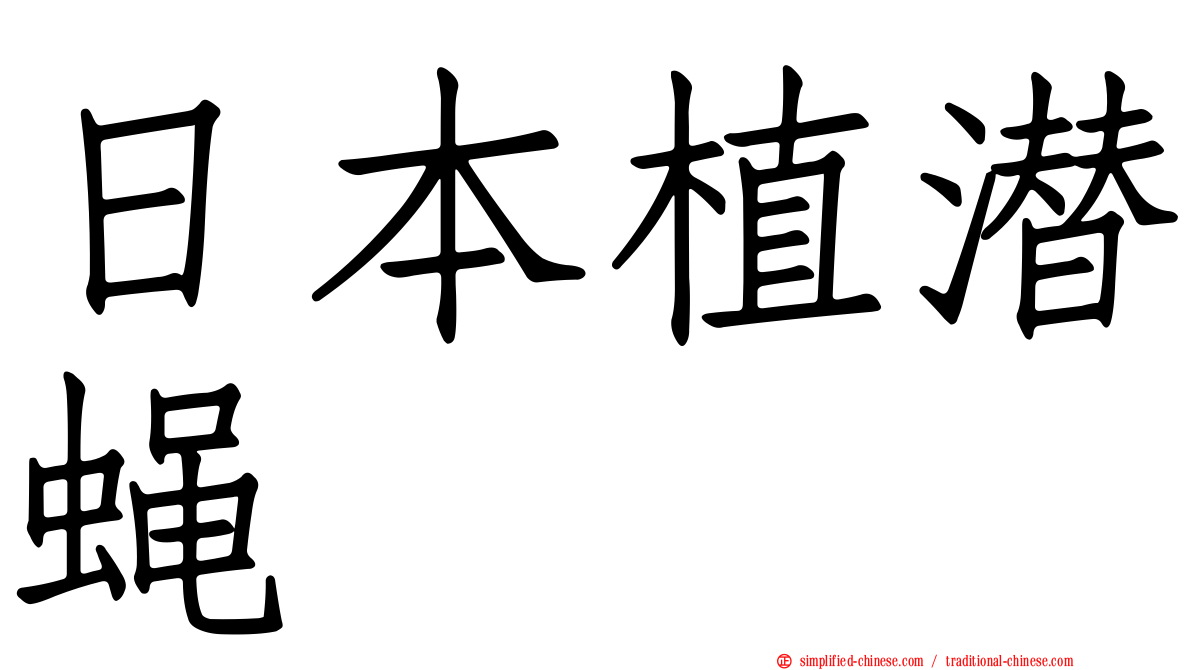日本植潜蝇