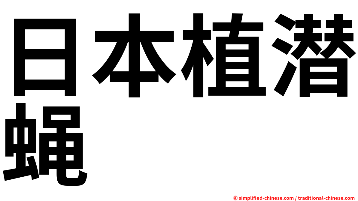 日本植潜蝇