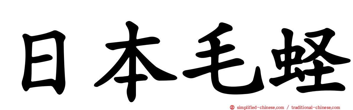 日本毛蛏
