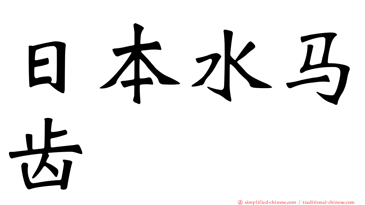 日本水马齿