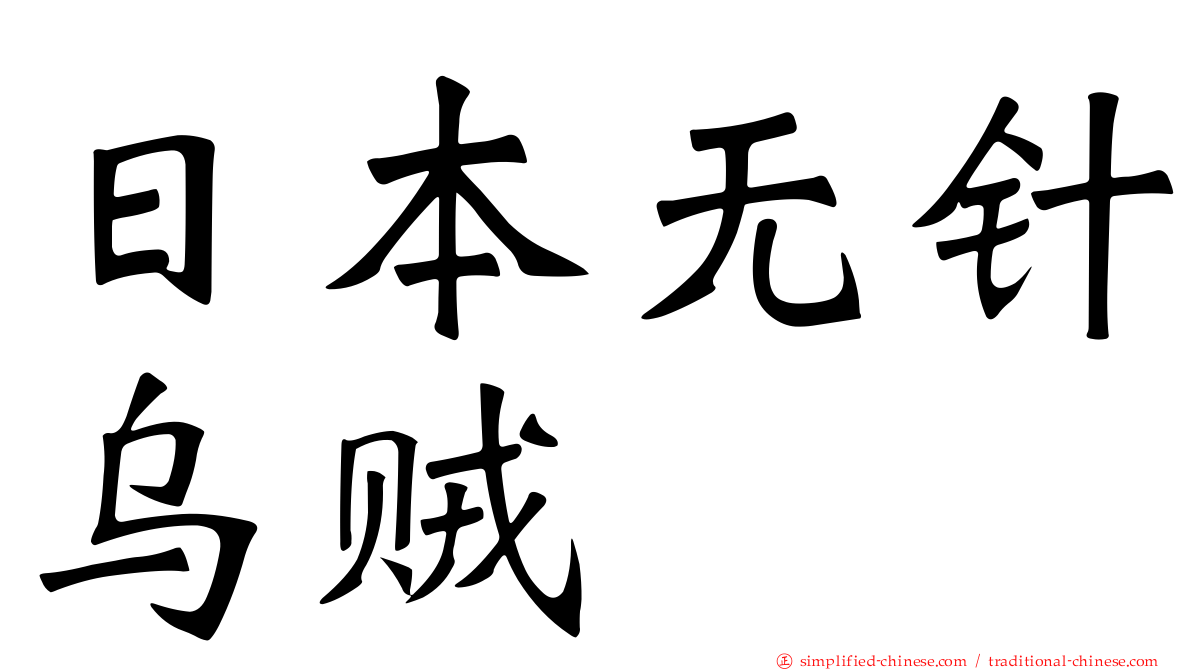 日本无针乌贼