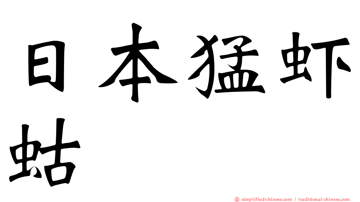 日本猛虾蛄