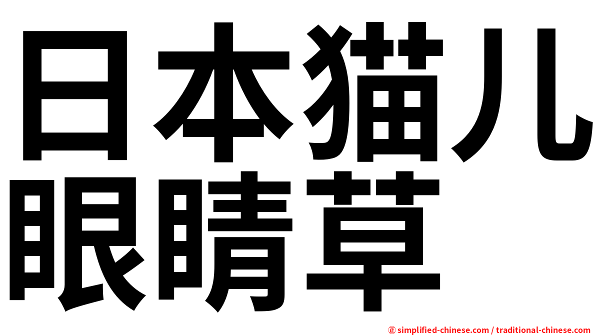 日本猫儿眼睛草