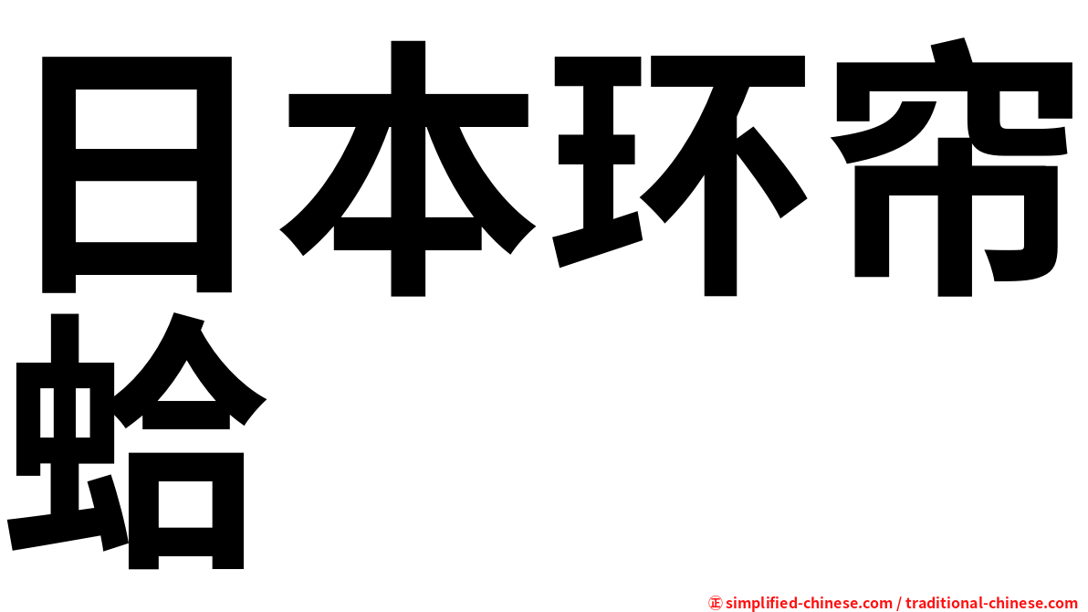 日本环帘蛤