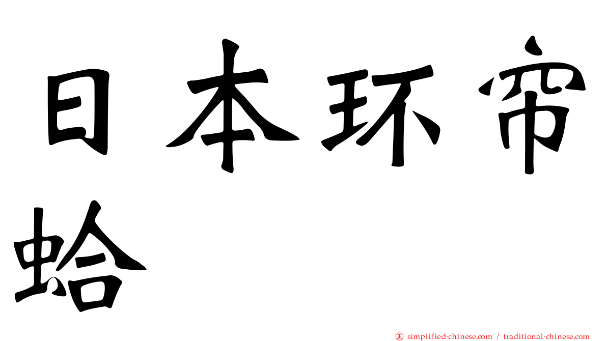 日本环帘蛤