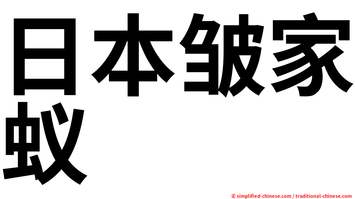 日本皱家蚁