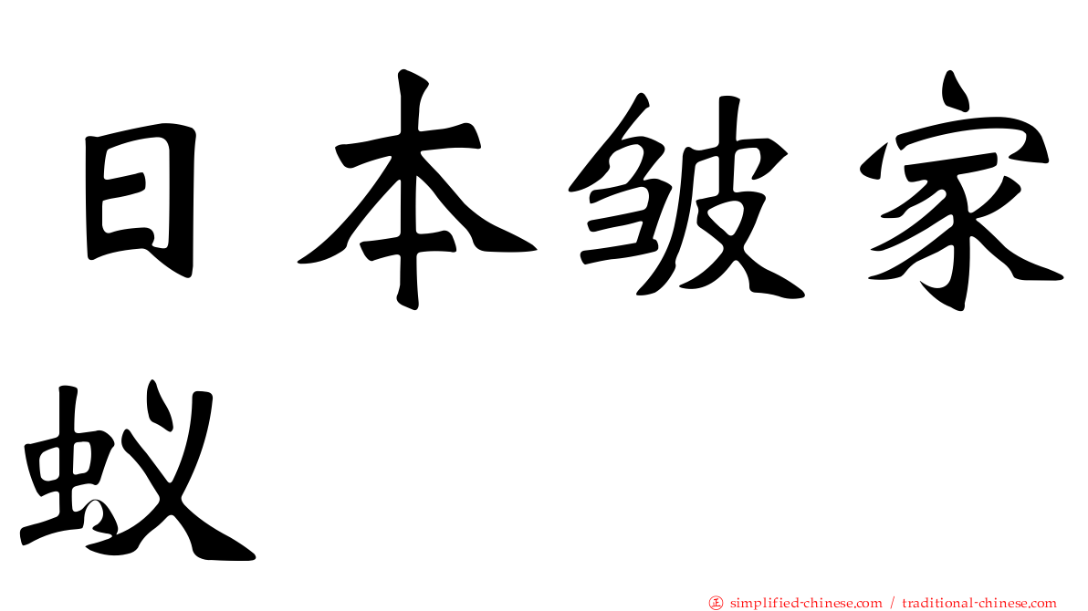 日本皱家蚁