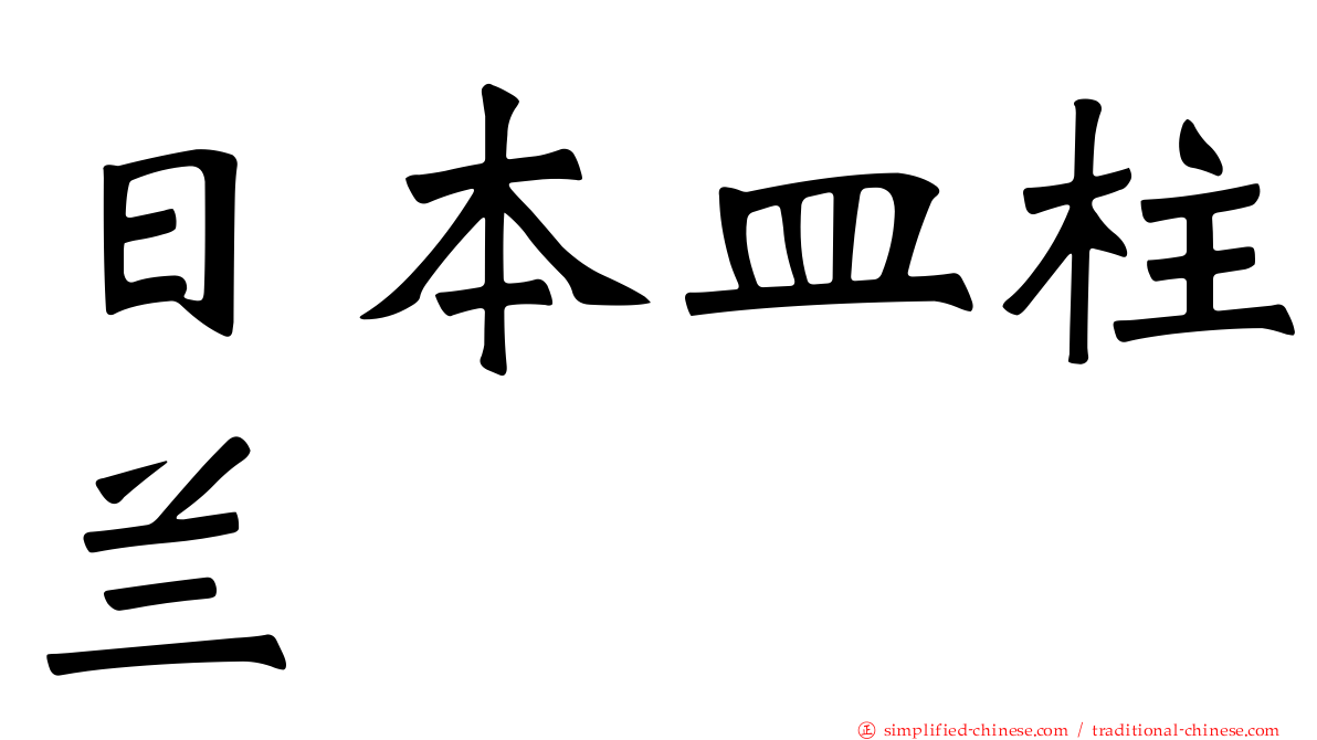 日本皿柱兰